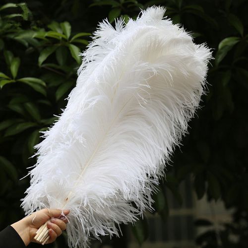 55cm 插花婚庆羽毛用品蓬松大羽毛工厂供应