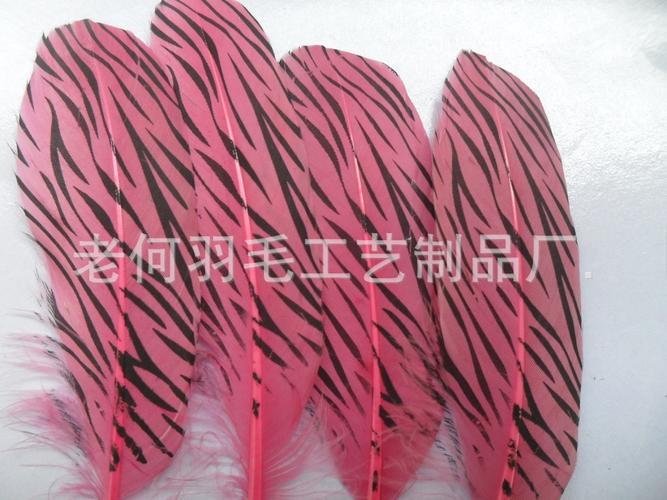 羽毛印花产品图片其他羽毛图片火鸡毛我们是专业羽毛染色的厂家,只要